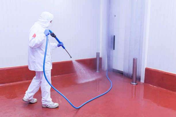 Best Patio and Deck Pressure Washing  in Jensen Beach, FL