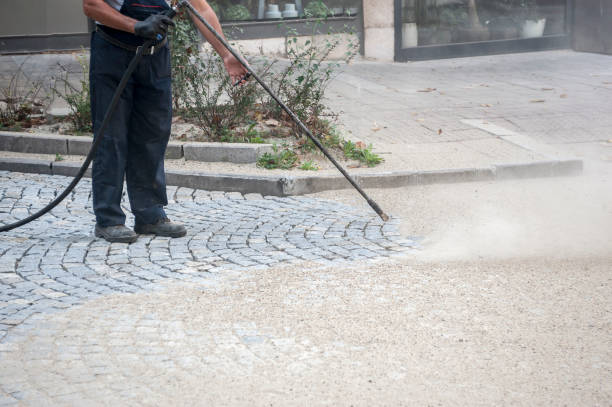 Animal Enclosure Cleaning in Jensen Beach, FL